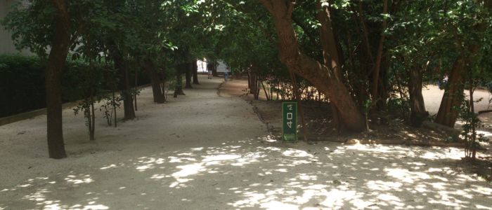 Bosque Brooklin: 7 min