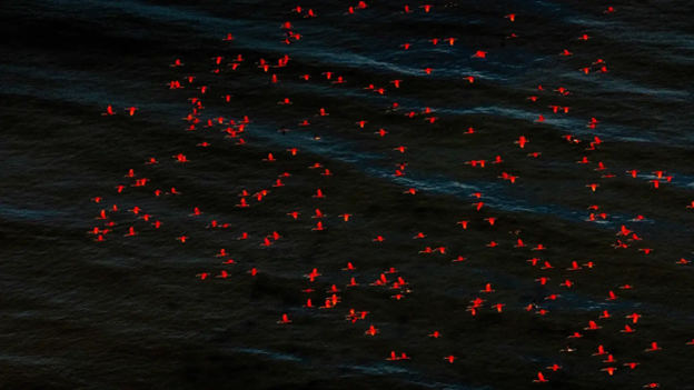 Fotógrafo João Farkas é destaque da temporada Brasil na França