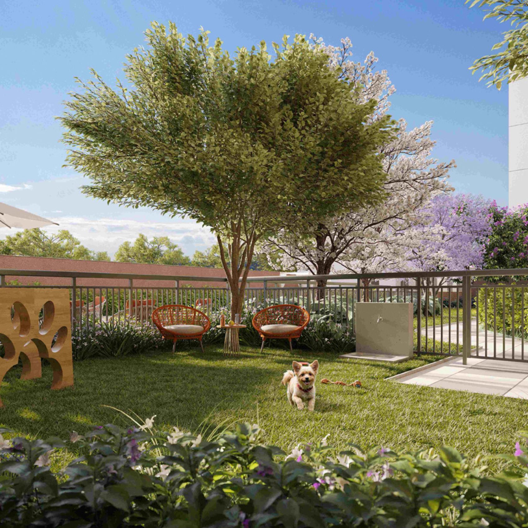 07 - PERSPECTIVA ILUSTRADA DO PET PLACE