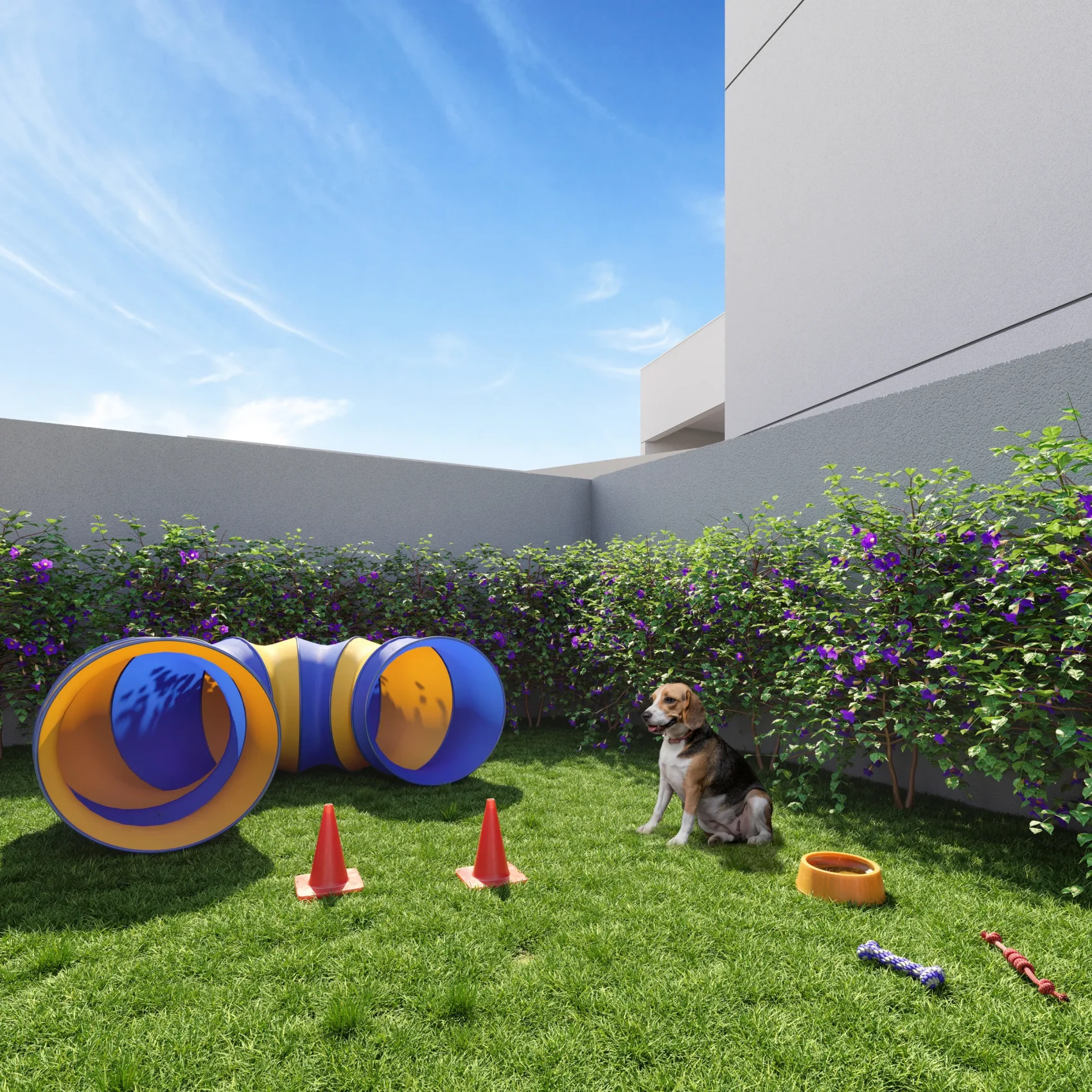 10-Benx - Ricardo Jafet-Pet Place-R03