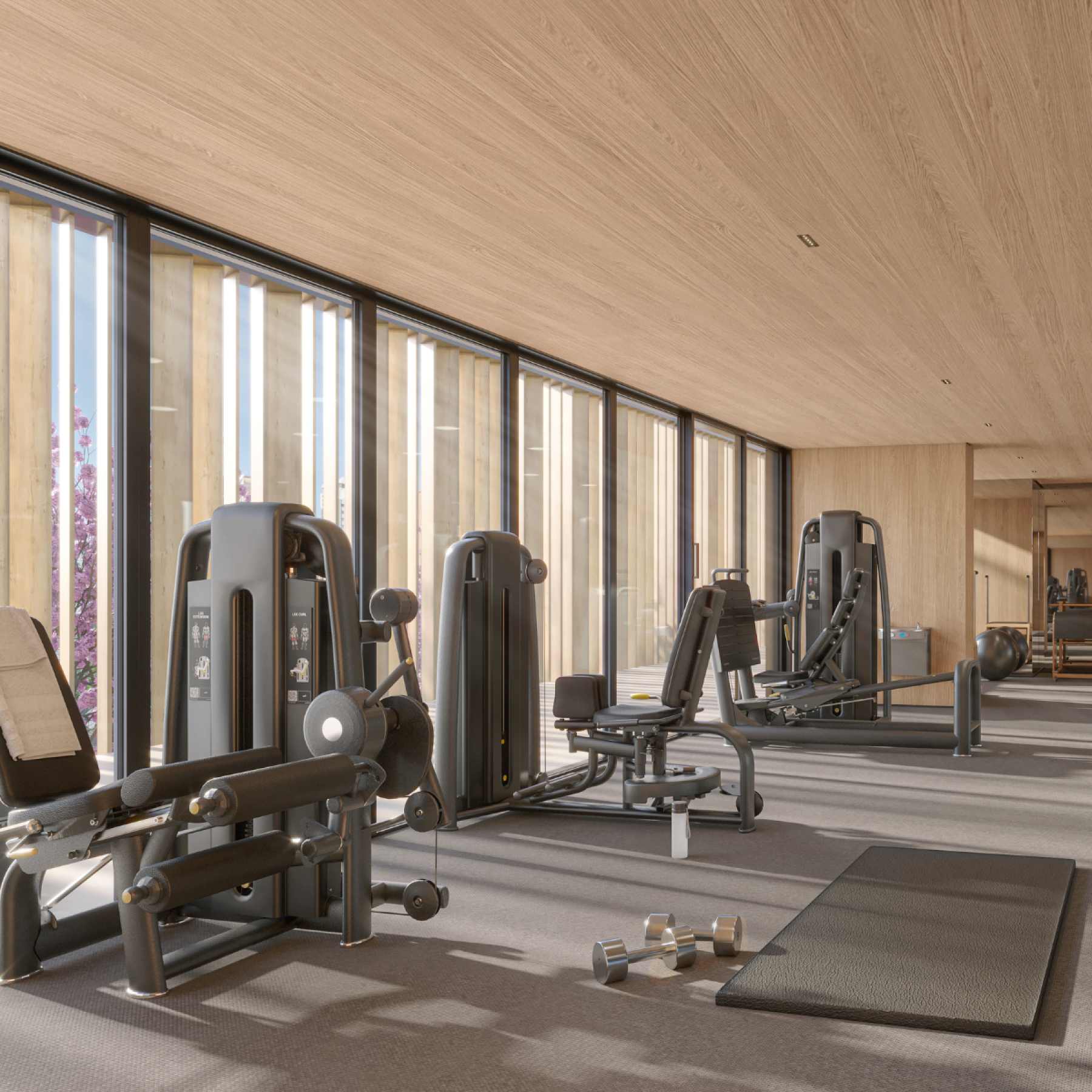 1200 x 1200 px - AUTOR (1)