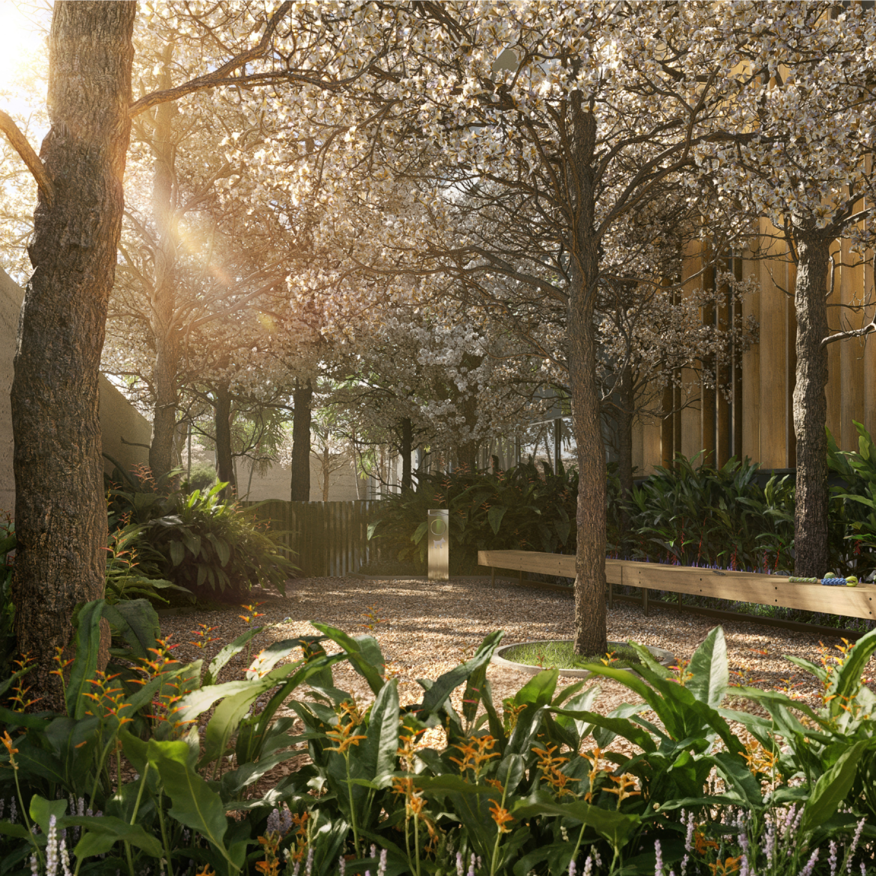 1200 x 1200 px - AUTOR (12)