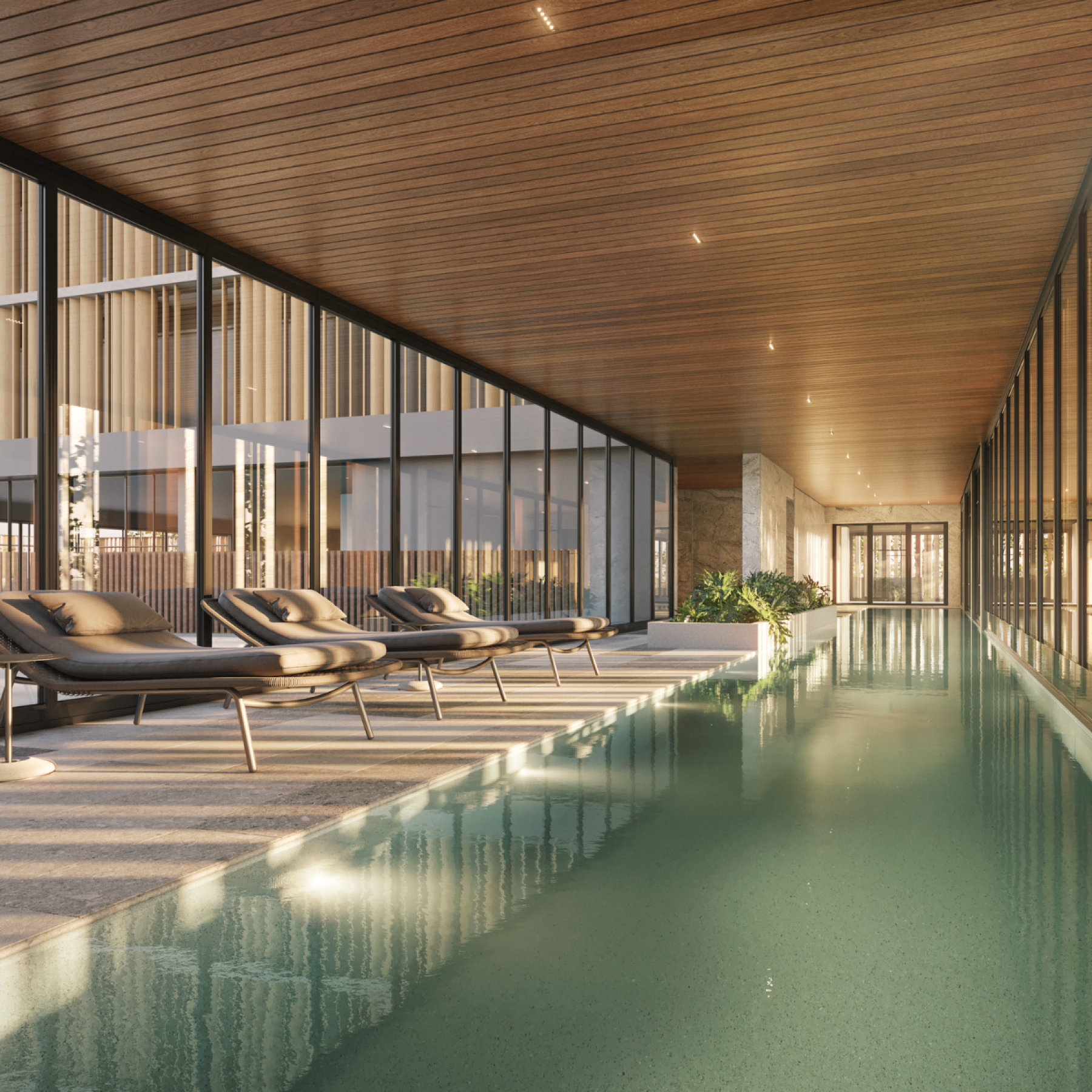 1200 x 1200 px - AUTOR (17)