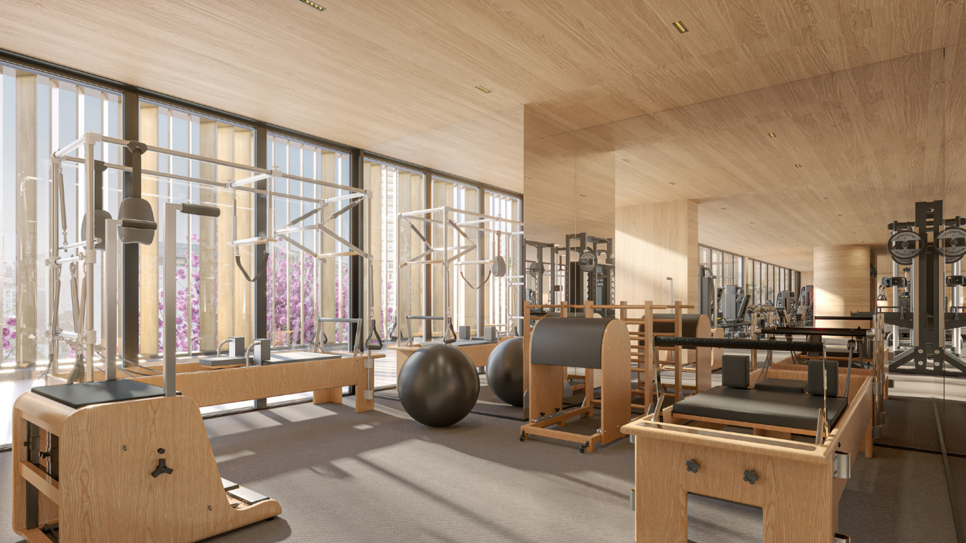 1422 X 800 - AUTOR (4)