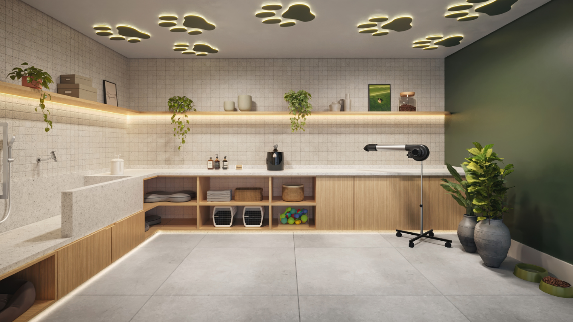 1422 X 800 - AUTOR (8)