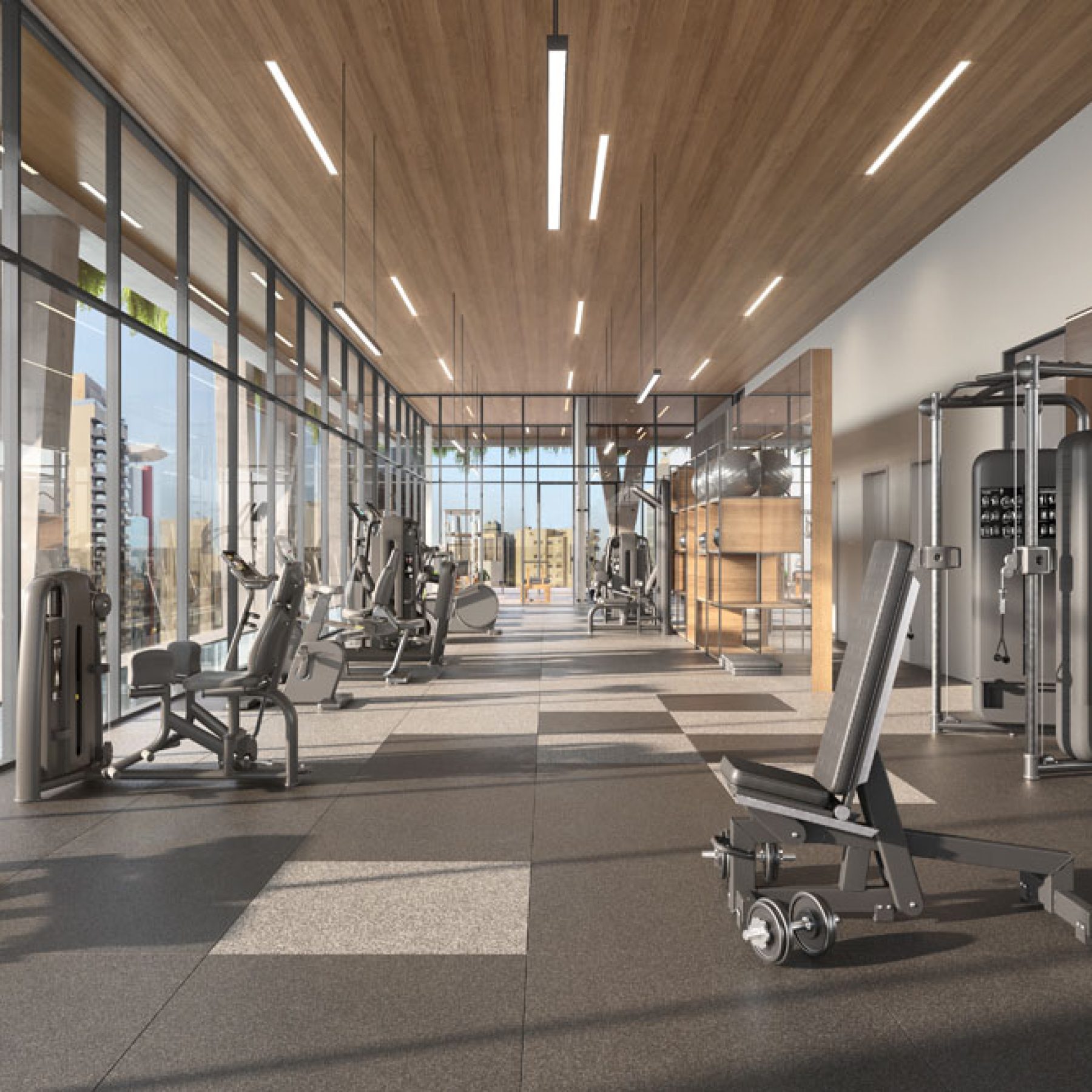 JOAQUIM FLORIANO_PERSPECTIVA FITNESS