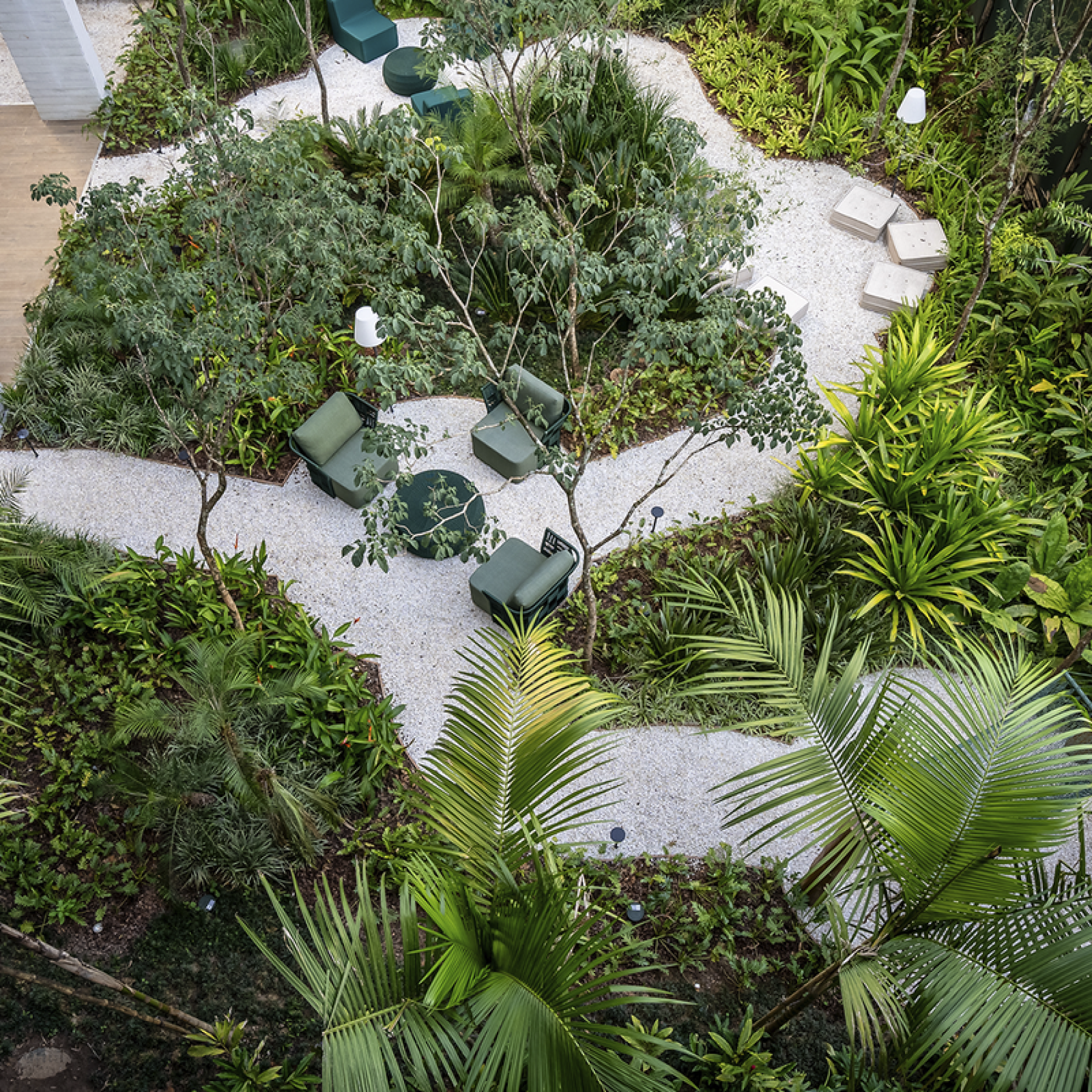 RARO PERDIZES_BOSQUE